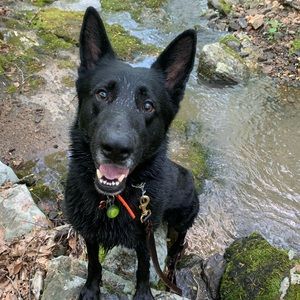 Meet your Posher, Nicholas